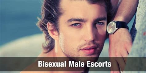 pianeta escort gay|Gay Male Escort Sites